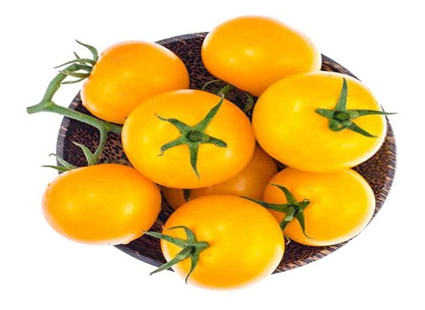 خرید و قیمت گوجه فرنگی زرد + فروش صادراتی